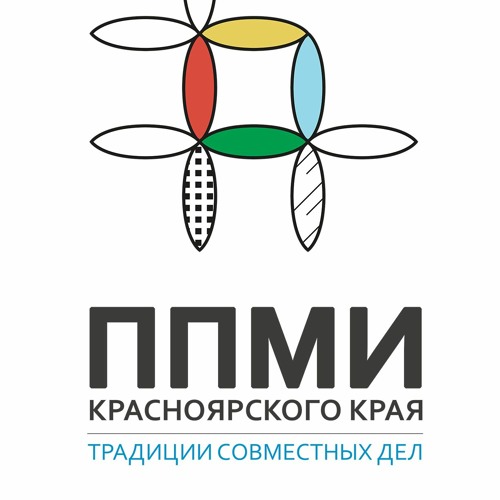 ППМИ-2025.